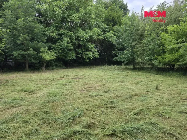 Prodej pozemku pro bydlení, Bor - Boječnice, 1093 m2