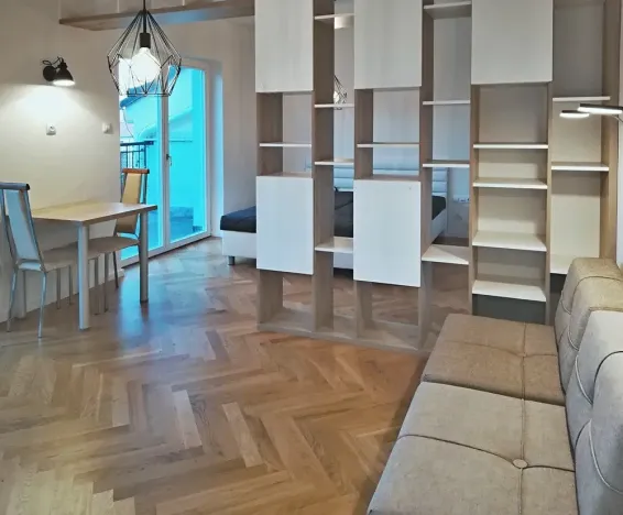 Pronájem bytu 1+kk, Praha - Žižkov, Slavíkova, 42 m2