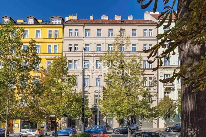 Prodej bytu 3+kk, Praha - Vinohrady, Vinohradská, 80 m2