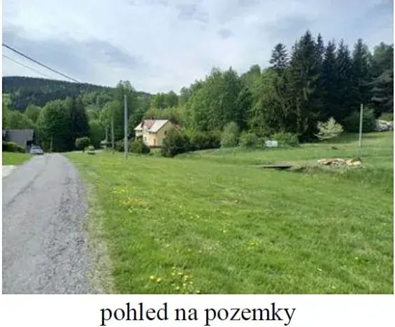 Dražba chalupy, Jindřichov, 550 m2