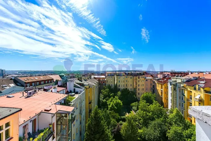 Pronájem bytu 5+1, Praha - Vinohrady, Kladská, 230 m2