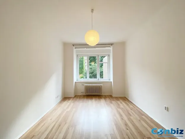 Prodej bytu 1+1, Praha - Karlín, Peckova, 29 m2
