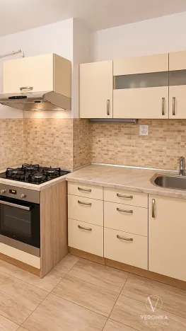 Prodej bytu 2+kk, Praha - Nusle, Kloboučnická, 50 m2