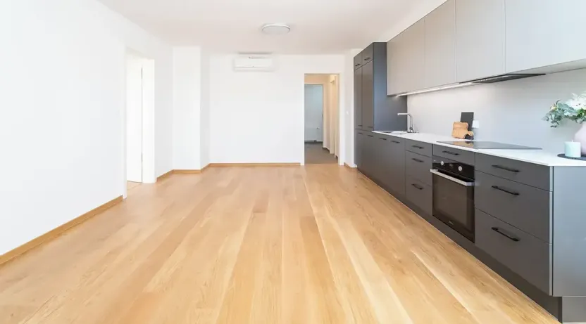 Pronájem bytu 2+kk, Praha - Žižkov, Jeronýmova, 69 m2