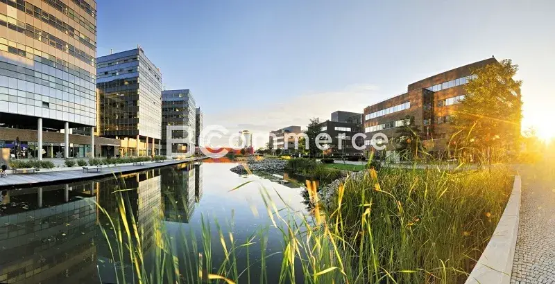 Pronájem kanceláře, Brno, 240 m2