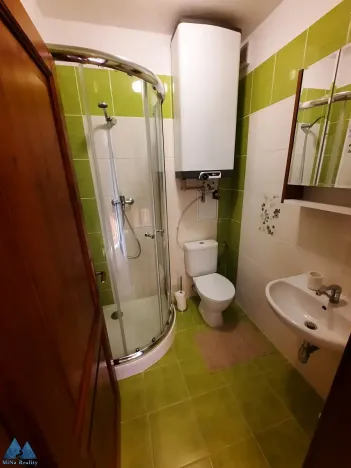 Pronájem bytu 2+kk, Vítkovice, 36 m2