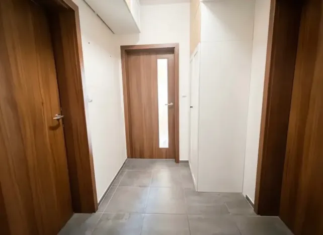 Pronájem bytu 3+kk, Brno, Přírodní, 62 m2