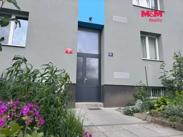 Prodej bytu 2+1, Praha - Žižkov, Osiková, 53 m2