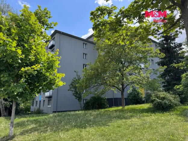 Prodej bytu 2+1, Praha - Žižkov, Osiková, 53 m2