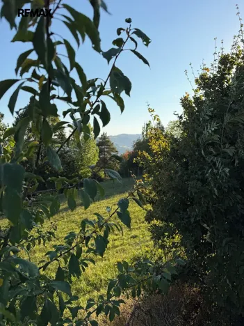 Prodej pozemku pro bydlení, Žítková, 2204 m2