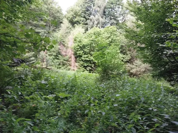 Prodej pozemku, Hraběšice, 1517 m2