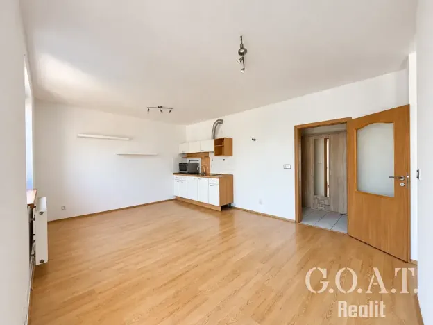 Prodej bytu 1+kk, Plzeň, Karlova, 44 m2