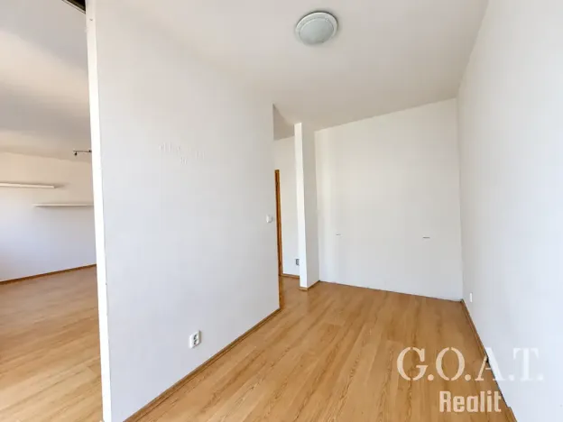 Prodej bytu 1+kk, Plzeň, Karlova, 44 m2