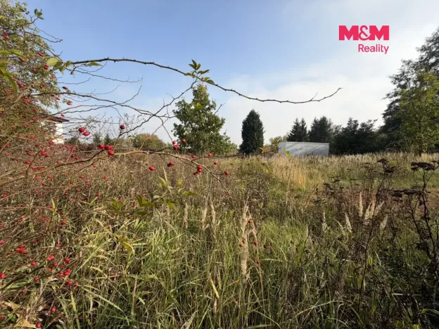 Prodej pozemku, Údlice, 2259 m2