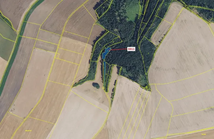 Dražba lesa, Bělá nad Svitavou, 2084 m2