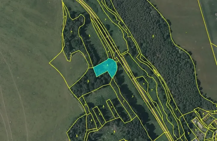Dražba pozemku, Konstantinovy Lázně, 3741 m2