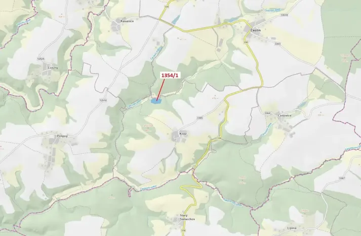 Dražba lesa, Čestín, 13976 m2