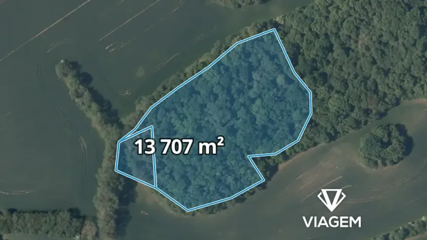 Prodej lesa, Vysoký Újezd, 13707 m2
