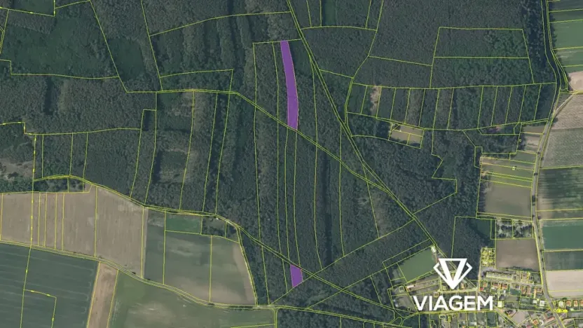 Prodej podílu lesa, Libotenice, 2048 m2