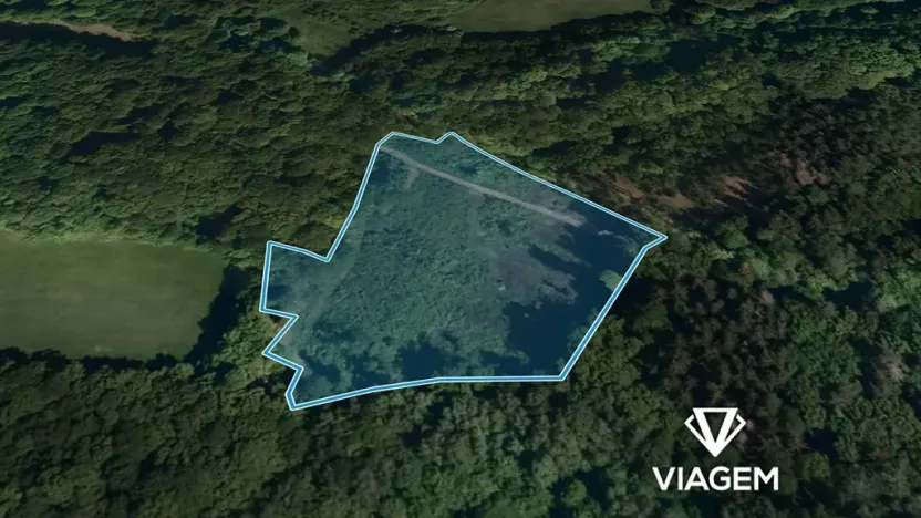 Prodej podílu lesa, Janová, 5802 m2