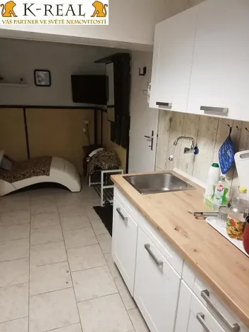 Pronájem bytu 1+1, Brno, V aleji, 40 m2