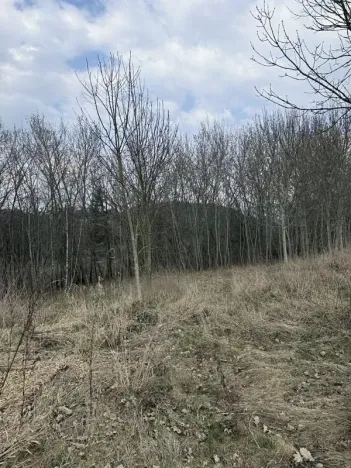 Dražba rodinného domu, Žďárek, 236 m2