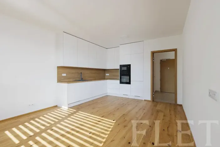 Pronájem bytu 2+kk, Praha - Nusle, Závišova, 54 m2