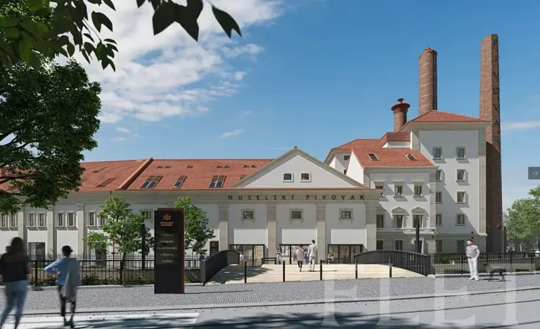 Pronájem bytu 2+kk, Praha - Nusle, Závišova, 54 m2