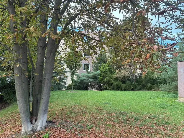 Pronájem bytu 2+1, Praha - Střešovice, Střešovická, 54 m2