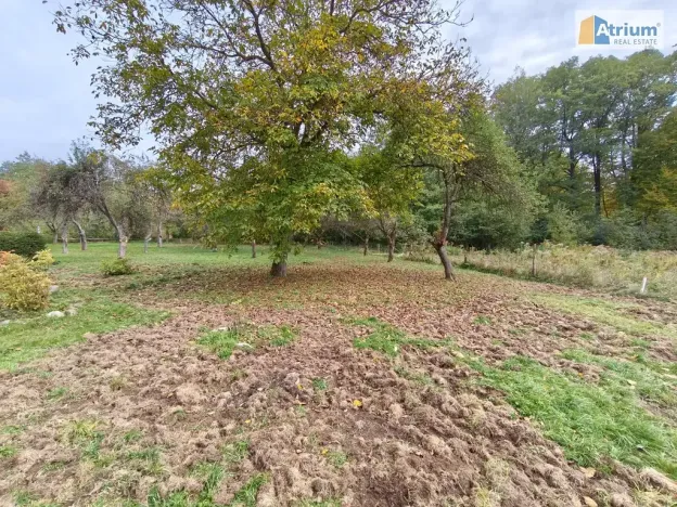 Pronájem zemědělské usedlosti, Ondřejov, Brožkova, 80 m2