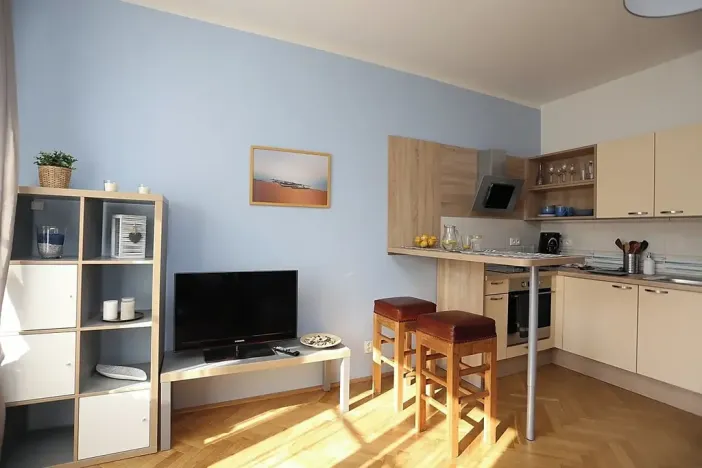Pronájem bytu 1+kk, Praha - Nusle, U křížku, 27 m2