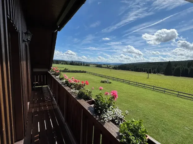 Prodej ubytování, Nové Hutě, 300 m2