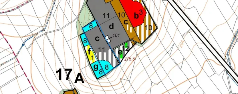 Prodej lesa, Ostřetín - Vysoká u Holic, 11957 m2