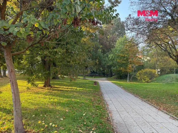 Pronájem bytu 2+kk, Lovosice, Sady pionýrů, 50 m2