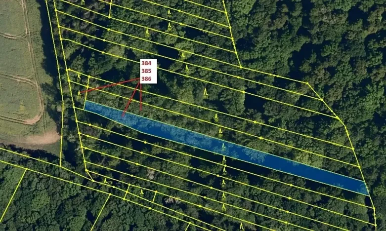 Dražba lesa, Hradčany-Kobeřice, 3483 m2