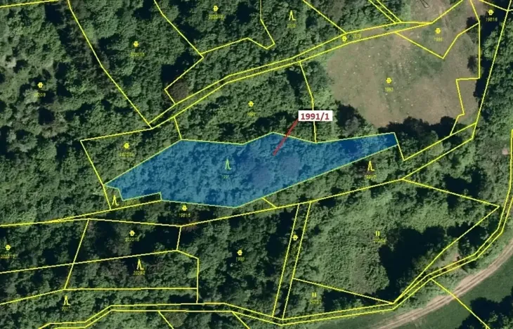Dražba lesa, Hovězí, 2438 m2