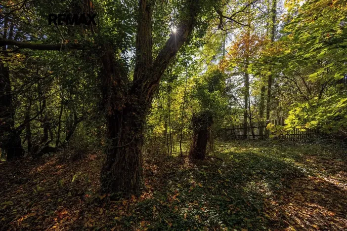 Prodej rodinného domu, Plzeň, Na Roudné, 100 m2