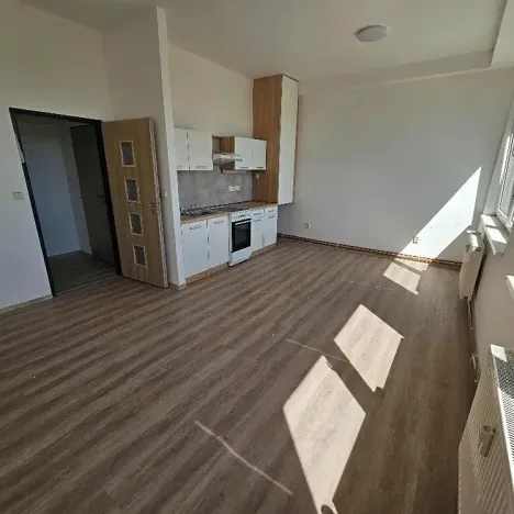 Pronájem bytu 2+kk, Mlékojedy, 50 m2