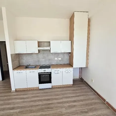 Pronájem bytu 2+kk, Mlékojedy, 50 m2