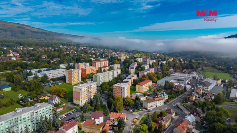 Prodej bytu 2+1, Jílové - Kamenná, 58 m2