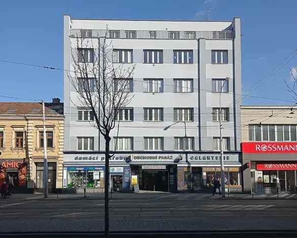 Pronájem obchodního prostoru, Brno, Palackého třída, 45 m2