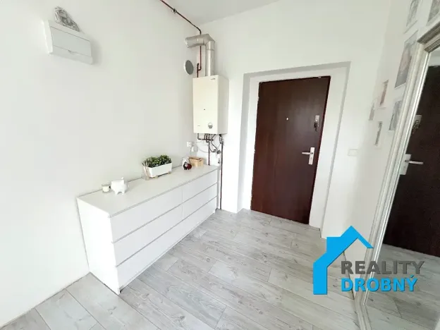 Pronájem bytu 3+kk, Děčín, Vilsnická, 100 m2
