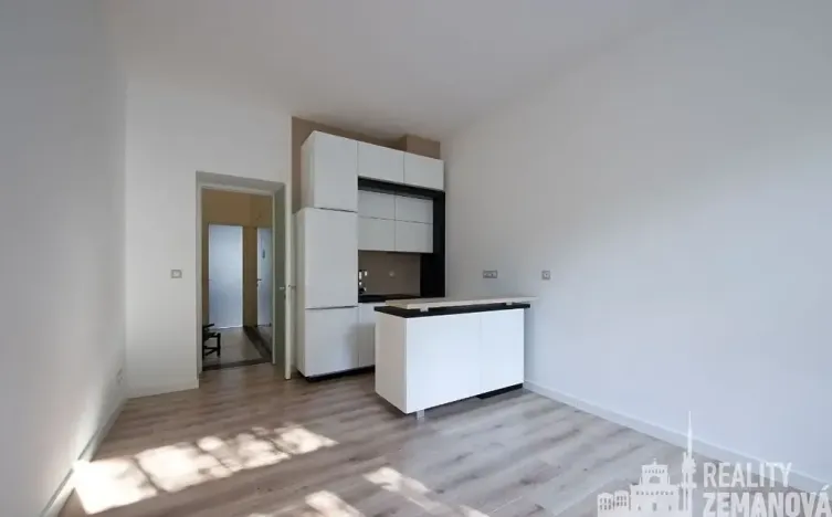Pronájem bytu 2+kk, Praha - Žižkov, Bořivojova, 54 m2