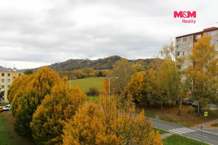 Prodej bytu 3+1, Šumperk, Bratrušovská, 80 m2