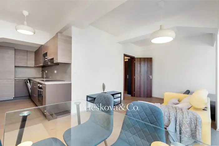 Pronájem bytu 1+kk, Praha - Holešovice, Jankovcova, 38 m2