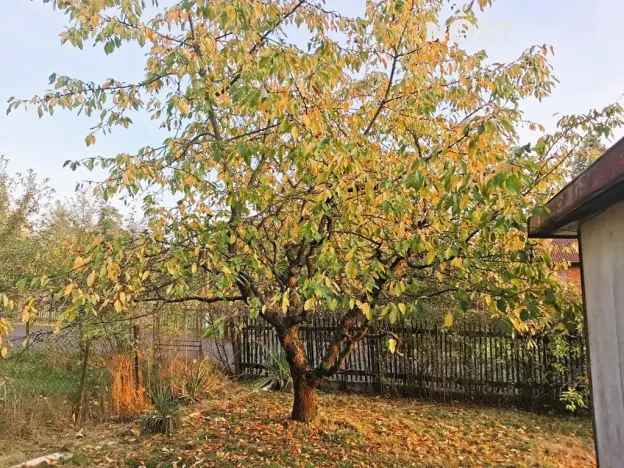 Prodej chaty, Česká Lípa, 20 m2