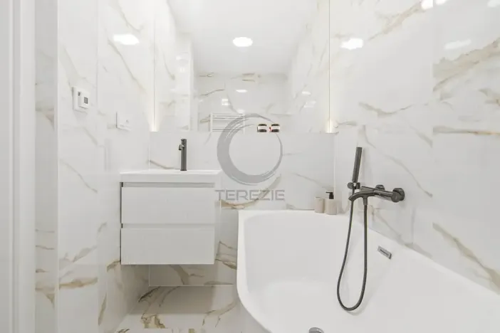 Prodej bytu 3+kk, Praha - Vinohrady, Nad Primaskou, 60 m2