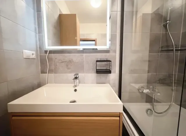Pronájem bytu 3+kk, Brno, Přírodní, 53 m2