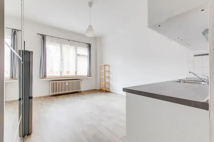 Pronájem bytu 1+kk, Praha - Karlín, Sokolovská, 28 m2