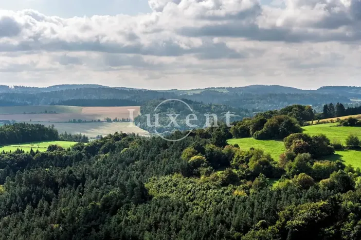 Prodej ubytování, Stříbrná Skalice, 1200 m2